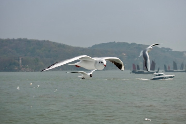 f:id:pijiu:20210315140417j:plain