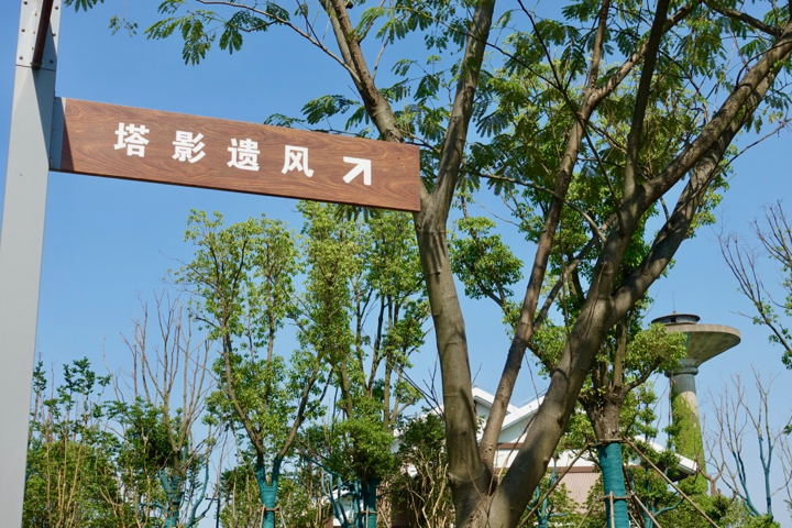 f:id:pijiu:20210622180656j:plain