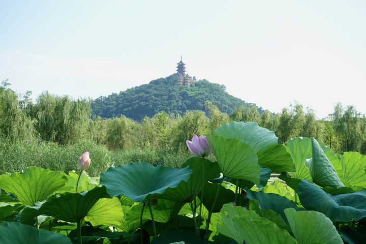 f:id:pijiu:20210622181212j:plain