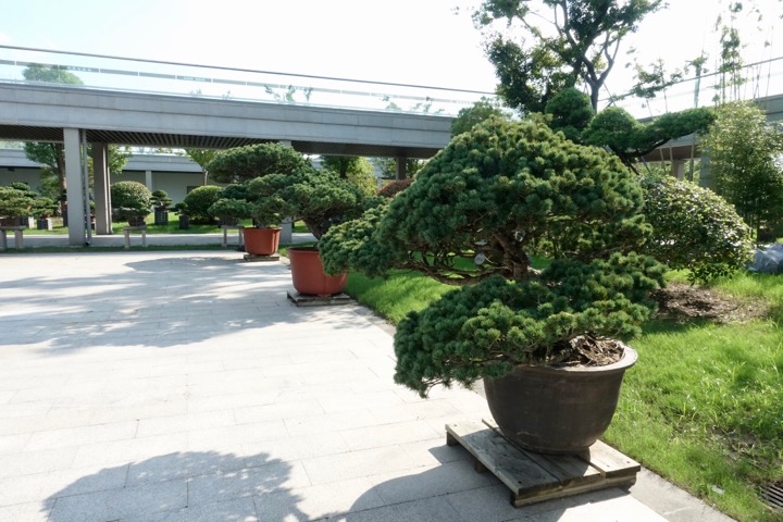 f:id:pijiu:20210918144637j:plain