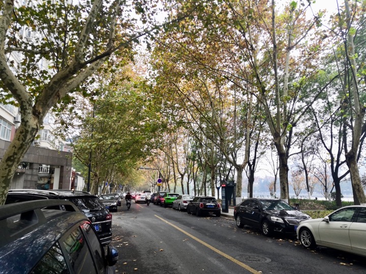 f:id:pijiu:20211123214636j:plain