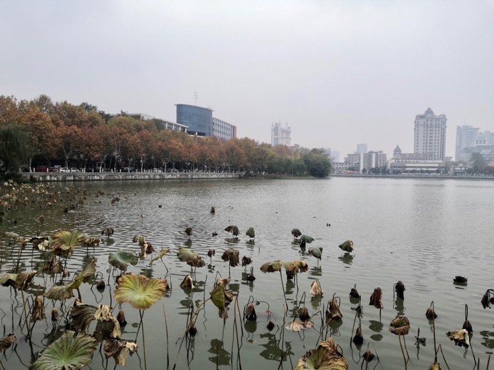 f:id:pijiu:20211123220518j:plain