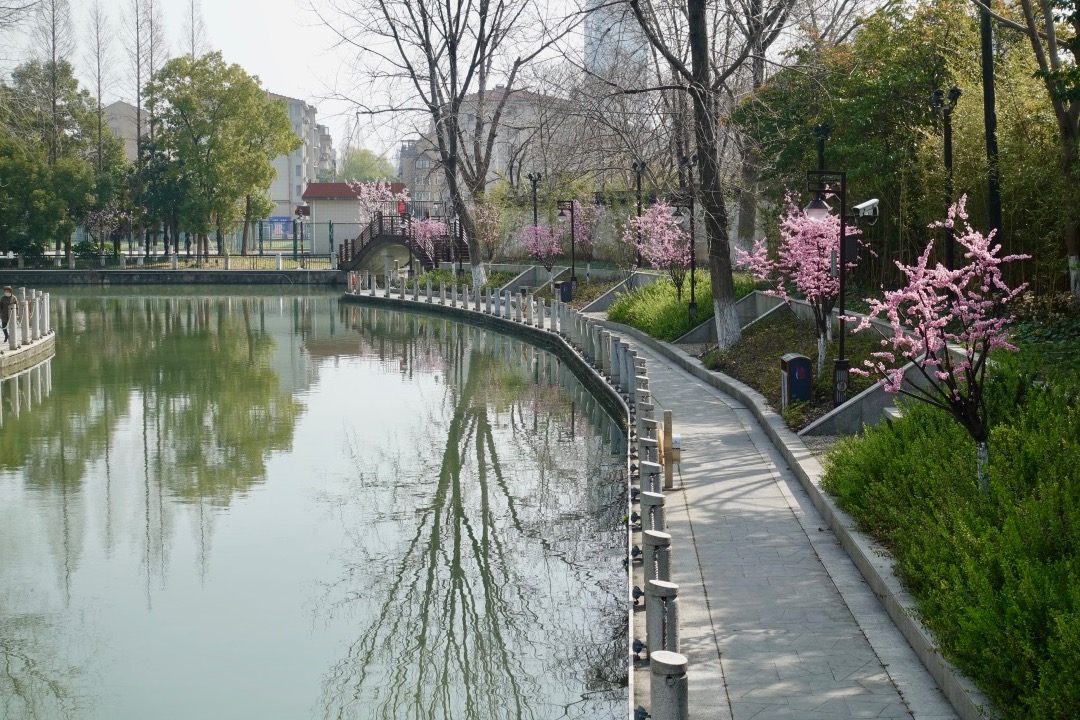 f:id:pijiu:20220321181829j:plain