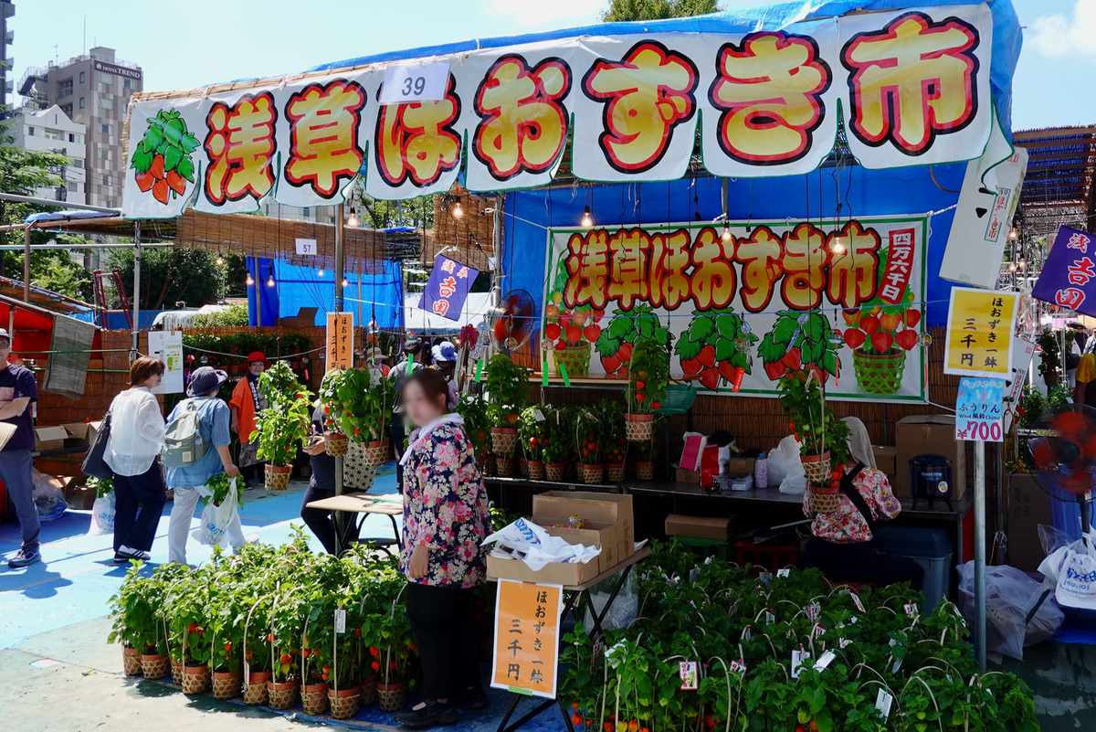 四万六千日・ほおずき市「浅草寺」103番で鉢植え買いました🎵 - つくば