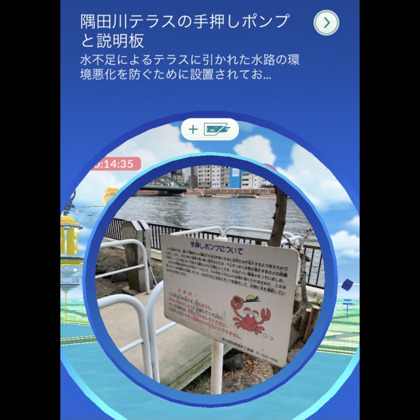 f:id:pikachu_pcn:20210808164141j:plain