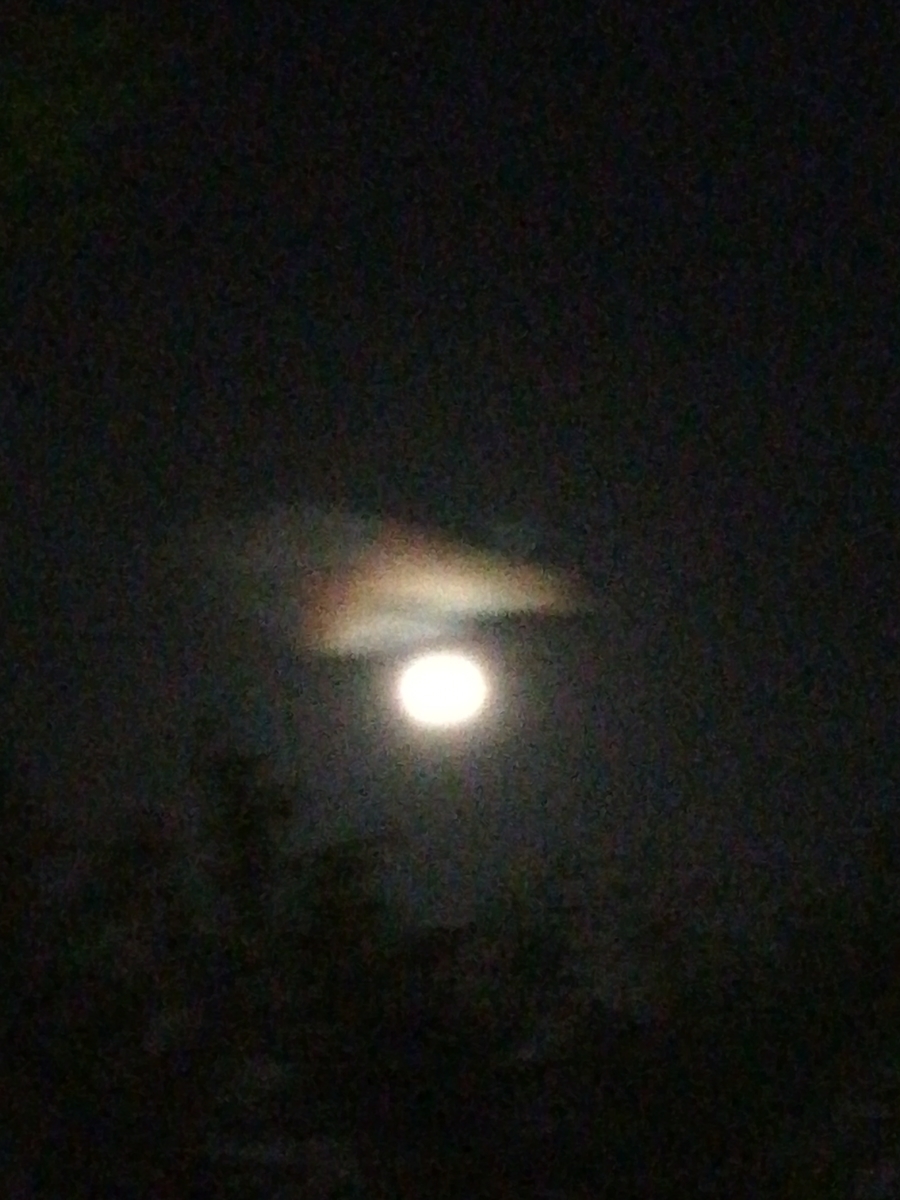 f:id:pikake-jasumin:20190813221930j:plain f:id:pikake-jasumin:20190813221930j:plain