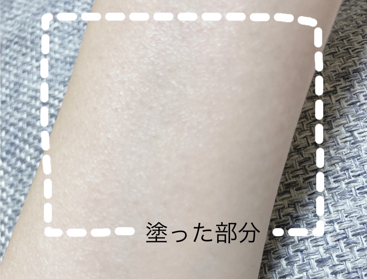 f:id:pikalog:20210919194845j:plain