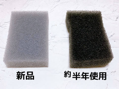 こんなに長持ちするの?サンサンスポンジを新色の「シルキーグレー」