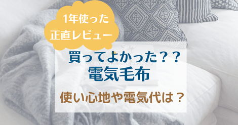 【買って良かったフランネル電気毛布】1年使った結果を正直レビューします