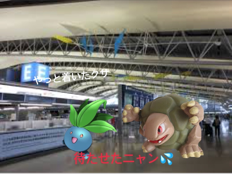 f:id:pikapikako:20171015125528j:plain