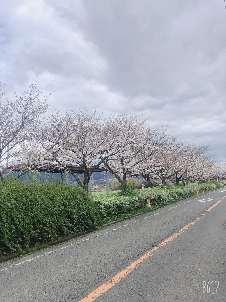 f:id:pikapikako:20200402153828j:plain f:id:pikapikako:20200402153828j:plain