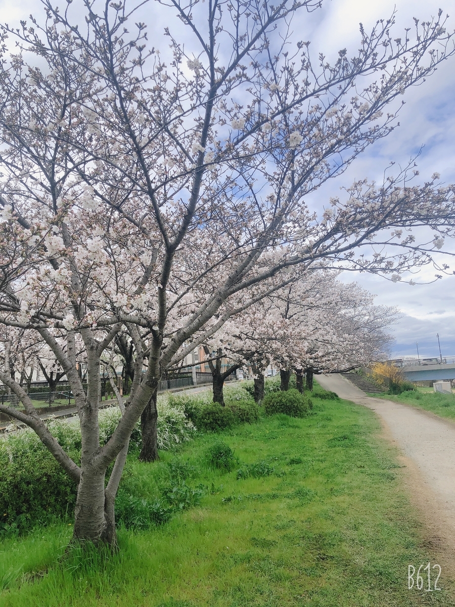 f:id:pikapikako:20200402153903j:plain f:id:pikapikako:20200402153903j:plain
