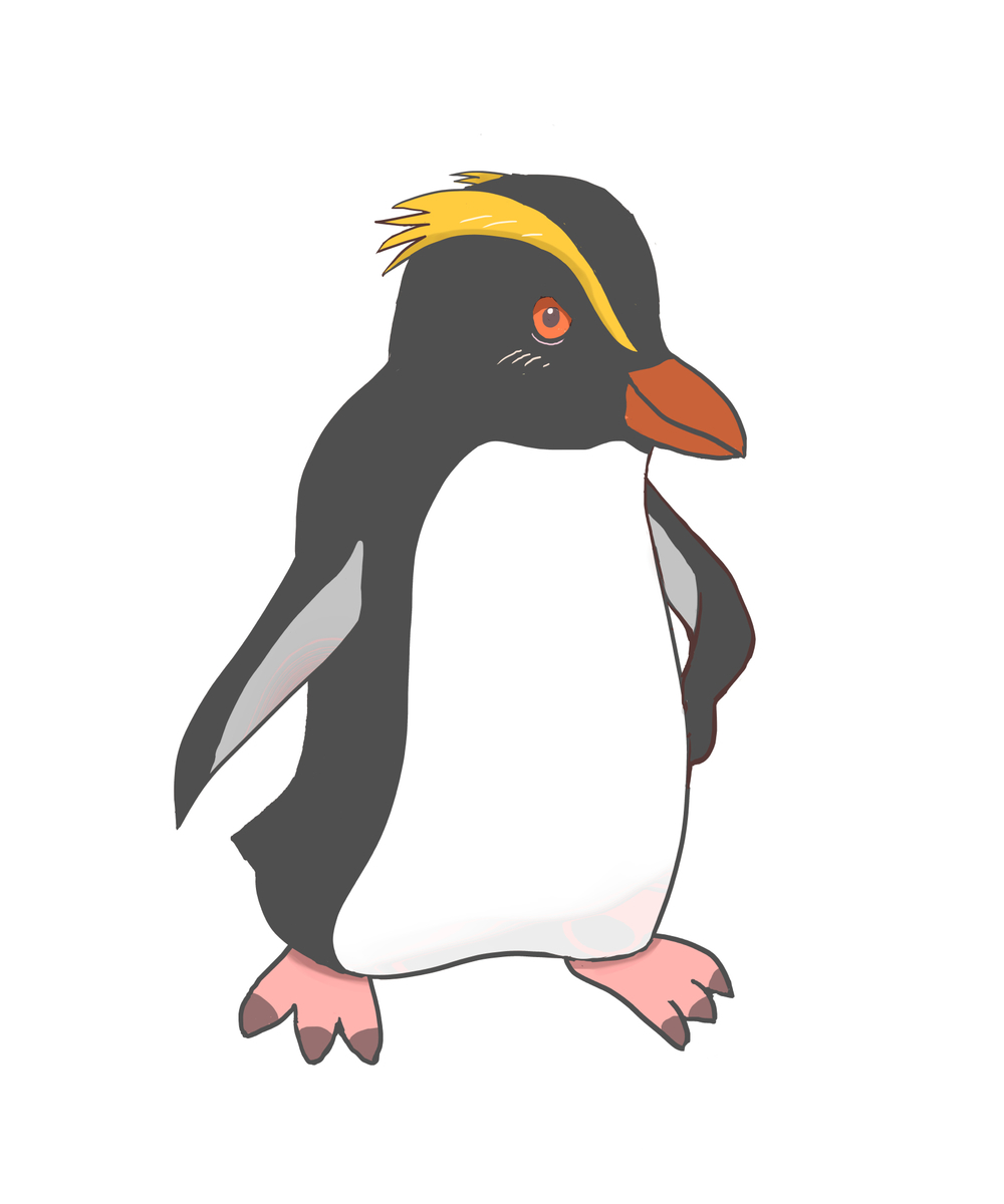 用心深いフィヨルドランドペンギン Pikapikapi Artのブログ