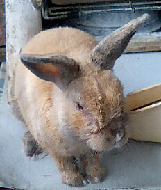 f:id:pikasasa105:20090809144628j:image f:id:pikasasa105:20090809144628j:image