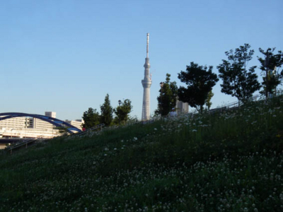 f:id:pikasasa105:20110710175604j:image f:id:pikasasa105:20110710175604j:image