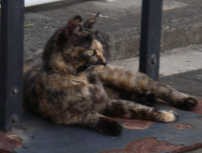 f:id:pikasasa105:20110710183512j:image f:id:pikasasa105:20110710183512j:image