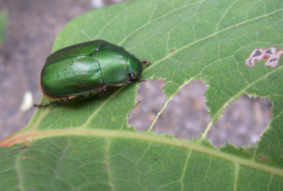 f:id:pikasasa105:20110825155838j:image f:id:pikasasa105:20110825155838j:image