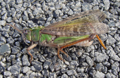 f:id:pikasasa105:20111006141833j:image f:id:pikasasa105:20111006141833j:image