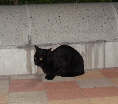 f:id:pikasasa105:20111018174815j:image f:id:pikasasa105:20111018174815j:image