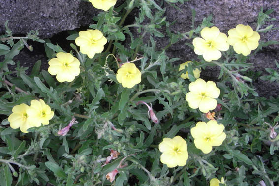 f:id:pikasasa105:20120429180220j:image f:id:pikasasa105:20120429180220j:image