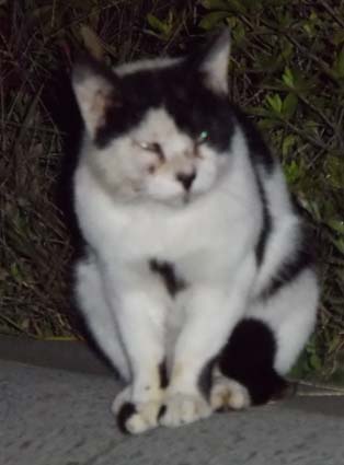 f:id:pikasasa105:20121007174141j:image f:id:pikasasa105:20121007174141j:image