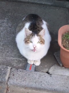 f:id:pikasasa105:20121016060239j:image f:id:pikasasa105:20121016060239j:image