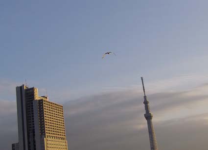 f:id:pikasasa105:20130203162716j:image f:id:pikasasa105:20130203162716j:image
