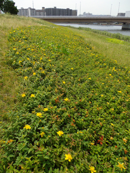 f:id:pikasasa105:20130605132003j:image f:id:pikasasa105:20130605132003j:image