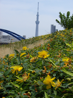 f:id:pikasasa105:20130605132208j:image f:id:pikasasa105:20130605132208j:image