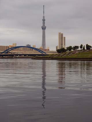 f:id:pikasasa105:20130616184313j:image