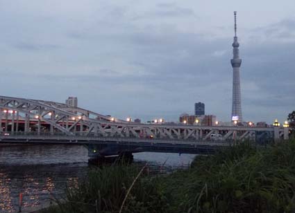 f:id:pikasasa105:20130616185938j:image