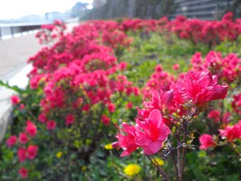 f:id:pikasasa105:20140416154044j:image