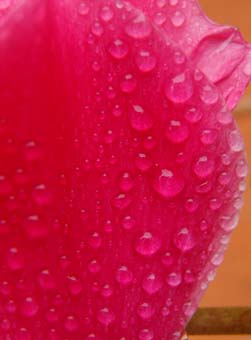 f:id:pikasasa105:20140421110614j:image