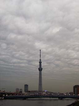 f:id:pikasasa105:20141105163021j:image f:id:pikasasa105:20141105163021j:image
