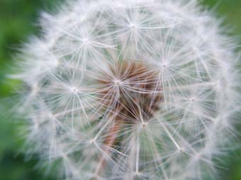 f:id:pikasasa105:20141116154929j:image f:id:pikasasa105:20141116154929j:image