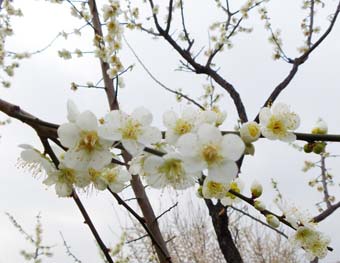 f:id:pikasasa105:20150224163110j:image f:id:pikasasa105:20150224163110j:image