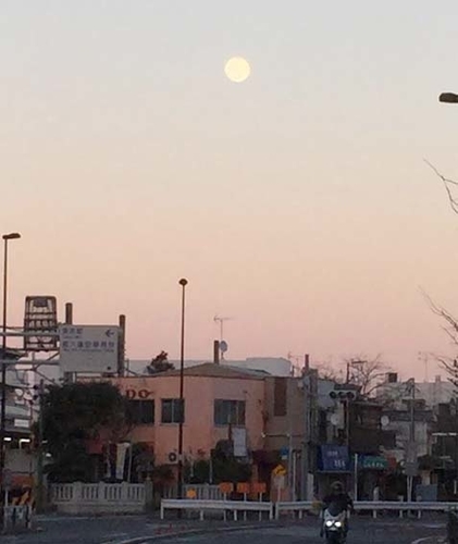f:id:pikasasa105:20190121191351j:image f:id:pikasasa105:20190121191351j:image