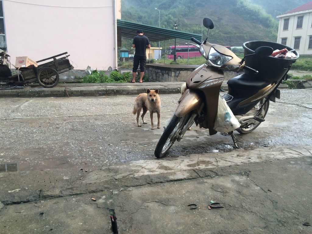 f:id:pikataroworldtrip:20180930203932j:plain f:id:pikataroworldtrip:20180930203932j:plain