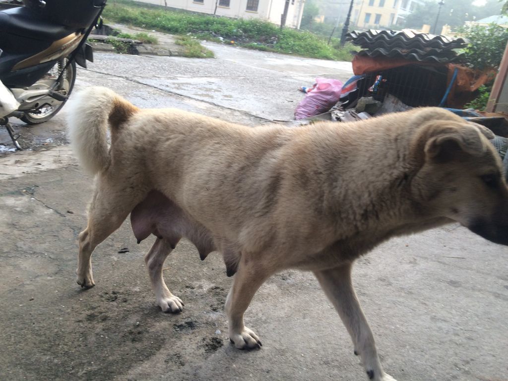 f:id:pikataroworldtrip:20180930203938j:plain f:id:pikataroworldtrip:20180930203938j:plain