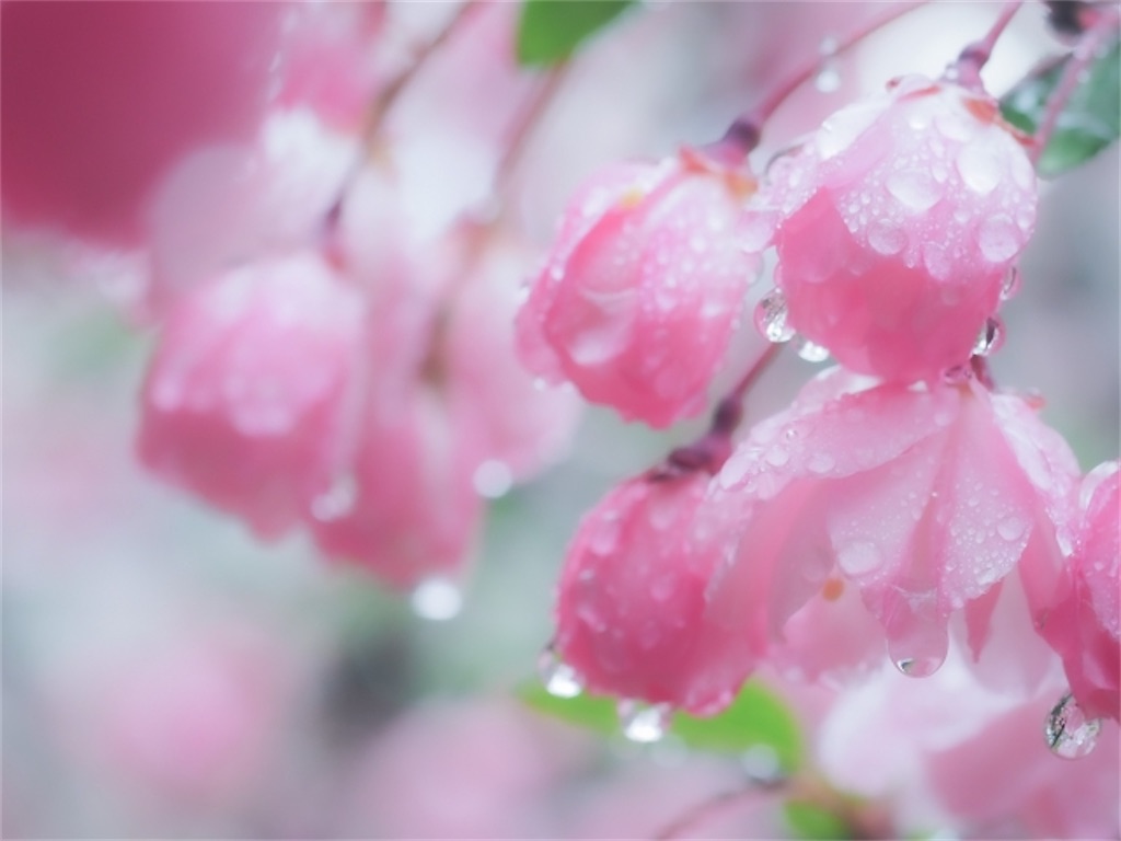 f:id:pikatto0107:20220314080043j:image