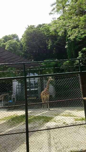 f:id:pikatyou:20170524164105j:plain f:id:pikatyou:20170524164105j:plain