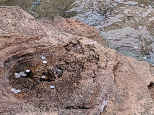 f:id:pikawa:20191012142047j:plain f:id:pikawa:20191012142047j:plain