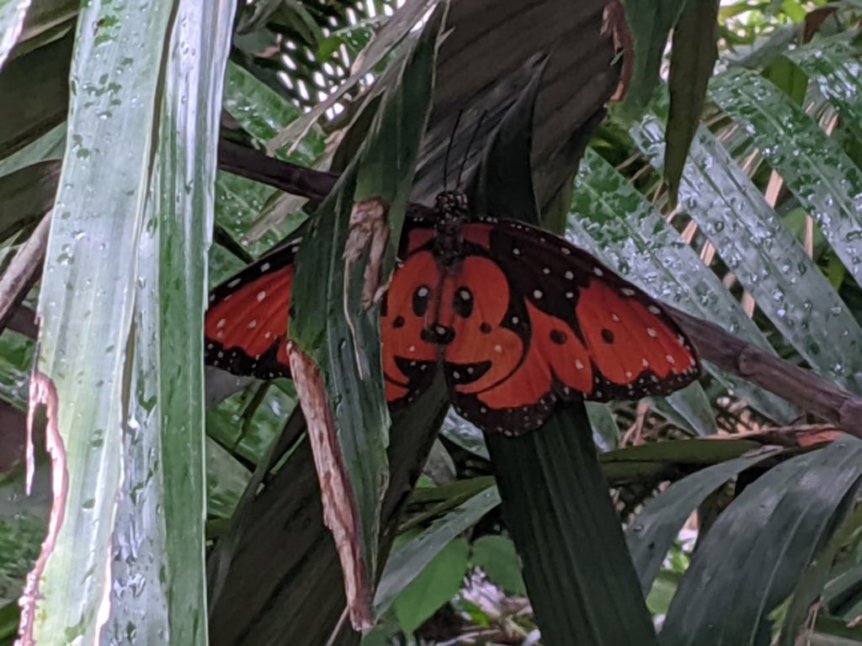 f:id:pikawa:20191012142404j:plain f:id:pikawa:20191012142404j:plain