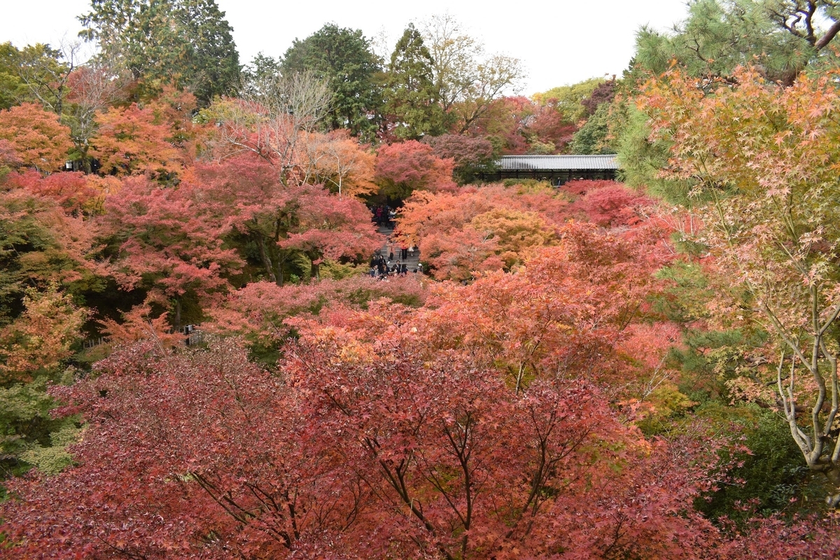 f:id:pikawa:20191124172002j:plain f:id:pikawa:20191124172002j:plain
