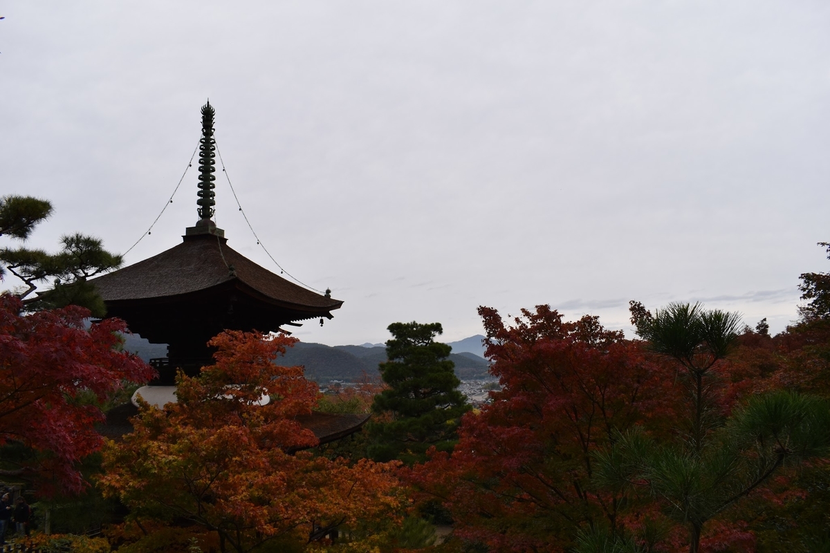 f:id:pikawa:20191124175941j:plain f:id:pikawa:20191124175941j:plain