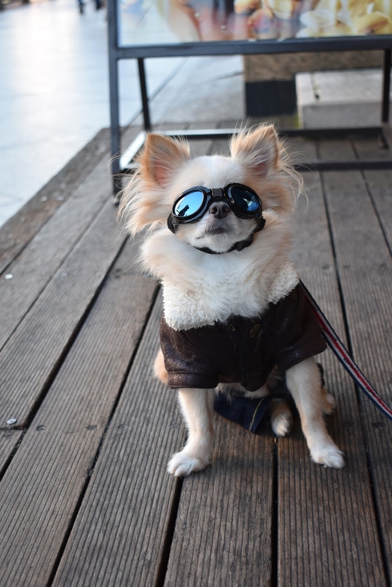 f:id:pikawa:20191124181020j:plain f:id:pikawa:20191124181020j:plain