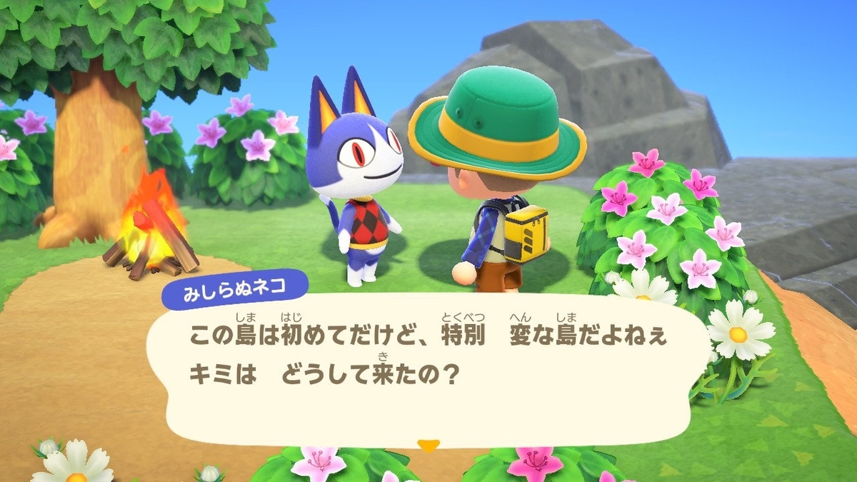 f:id:pikawa:20200502164939j:plain f:id:pikawa:20200502164939j:plain