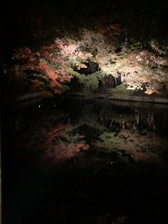 f:id:pikayan:20071125104944j:image