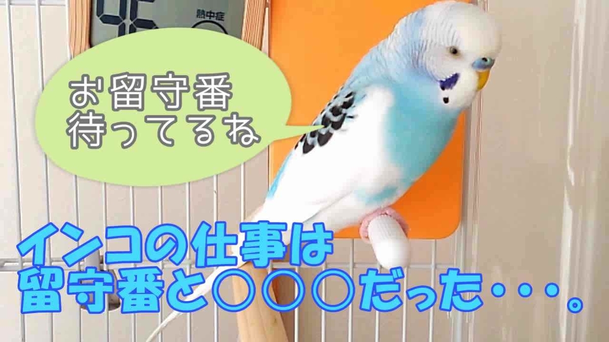 f:id:piko-taro:20211122230554j:plain