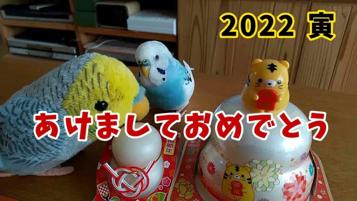 f:id:piko-taro:20220105210952j:plain